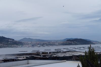 2016 05 09 IncendioFandicostaDomaio18.JPG